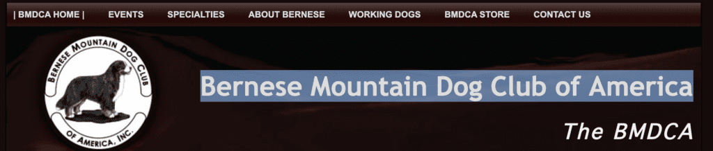 Bernese-Mountain-Dog-Club-of-America
