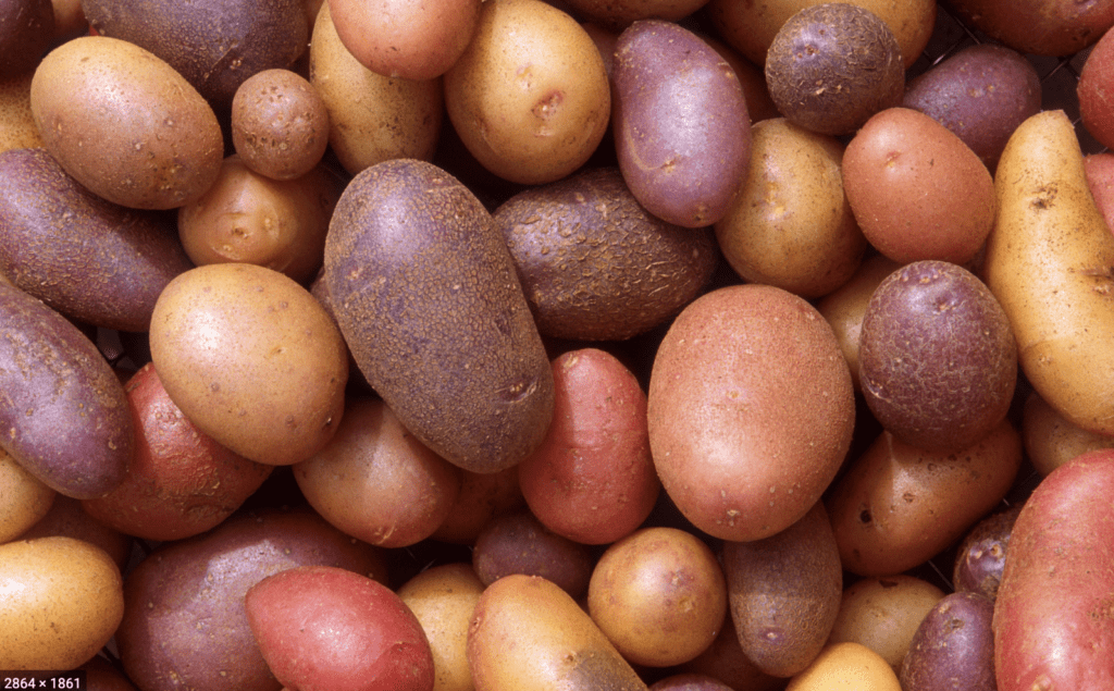 Food-Potatoes-can-absorb-and-reflect-Wi-fi-signals