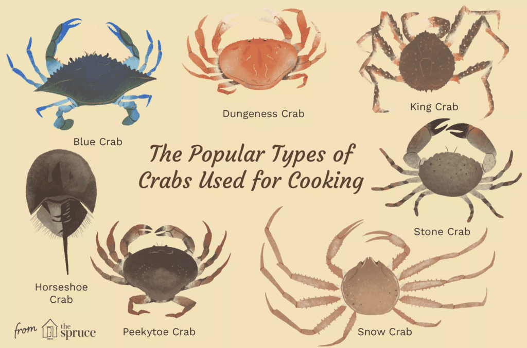 Types of Crab to Eat PB on Life