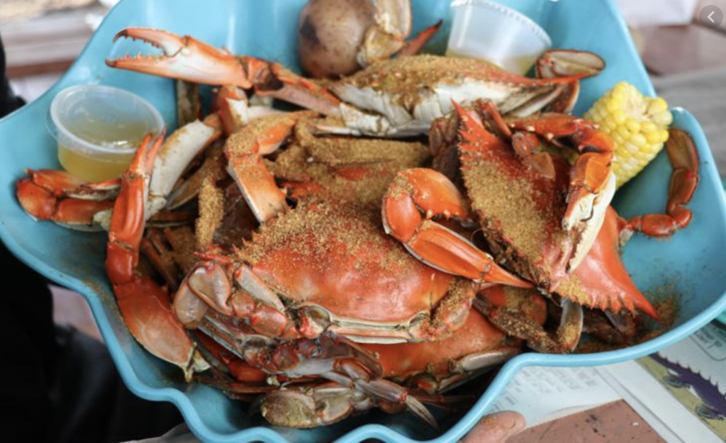 Type-of-crab-to-eat-blue-crab