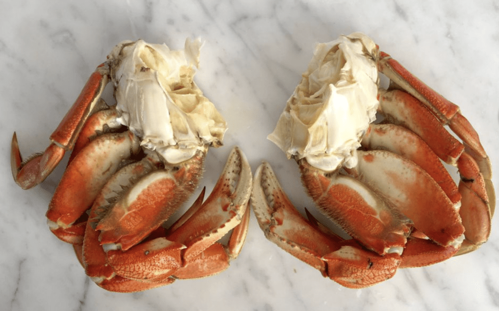 Type-of-crab-to-eat-dungeness-crab