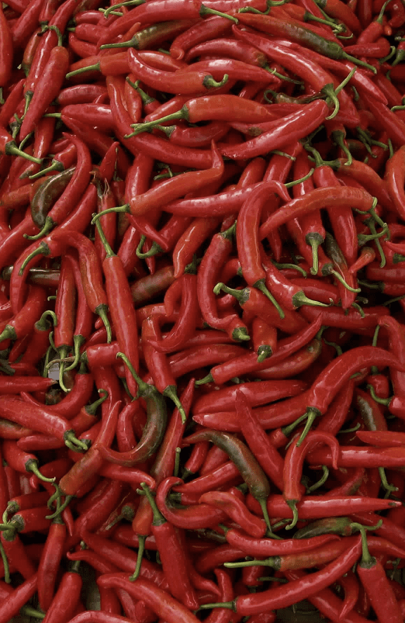 All-About-Chile-Peppers-Thai