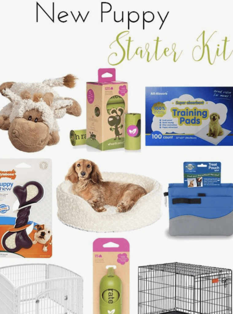 Set-Your-Puppy-Up-For-Success-Starter-Kit