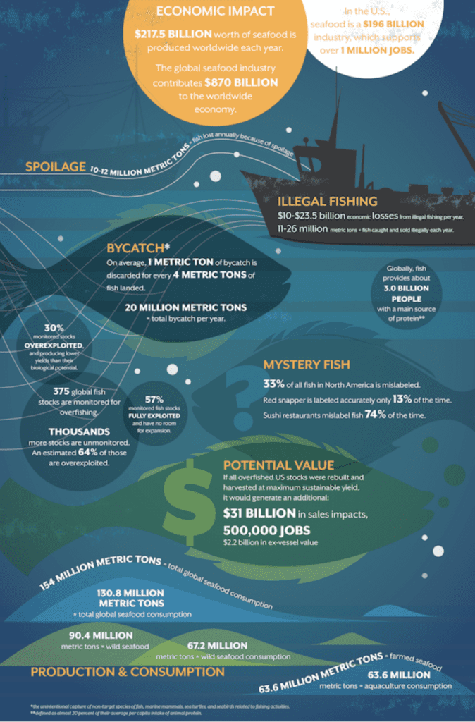Seaspiracy-Exposes-The-Economic-Impact-of-Commercial-Fishing Industry