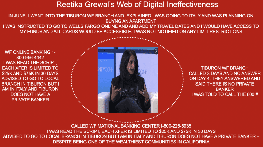 Reetika-Grewal-Web-of-Digital-Ineffectiveness 
