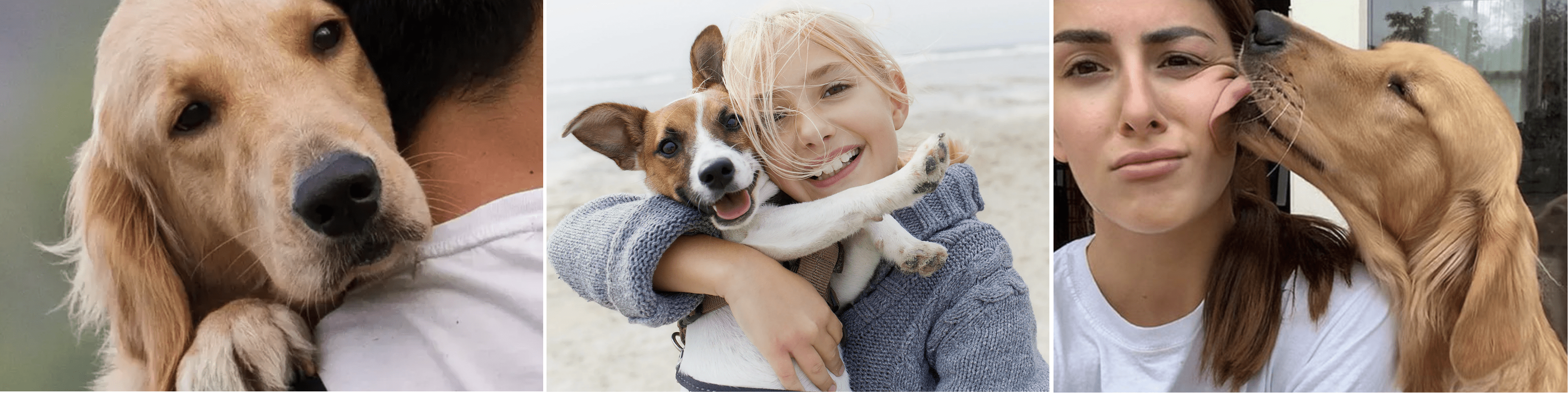 why-dogs-are-a-necessity-for-humans