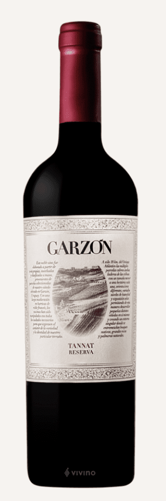wine-score-90-points-plus-under-$30-2018-BODEGA-GARZON-RESERVA