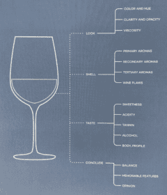 A-Guide-to-Wine-Tasting