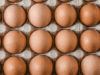 buying-and-storing-eggs