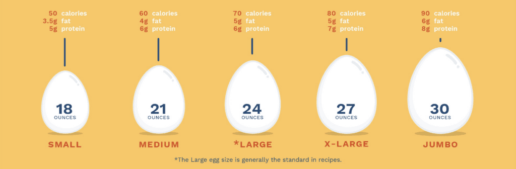 egg-size
