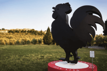 chianti-and-the-black-rooster