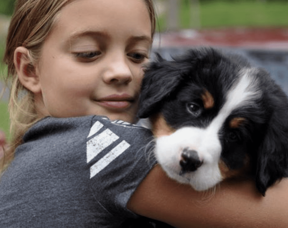 why-we-love-dogs-more-than-humans-the-research