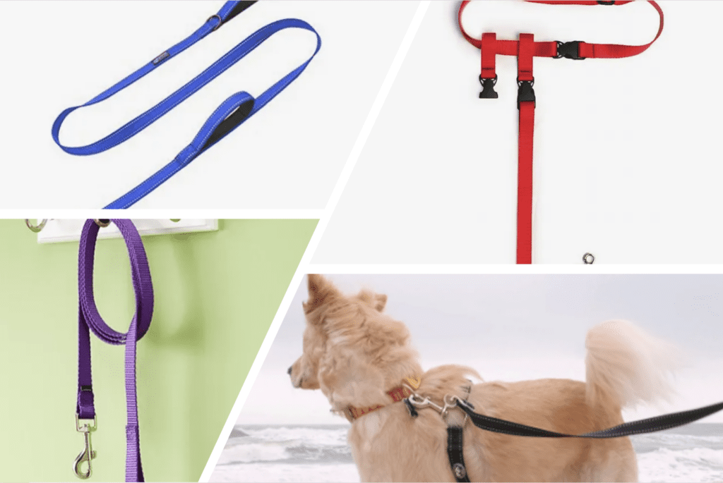 accessories-for-dog-travel-a-dog-leash