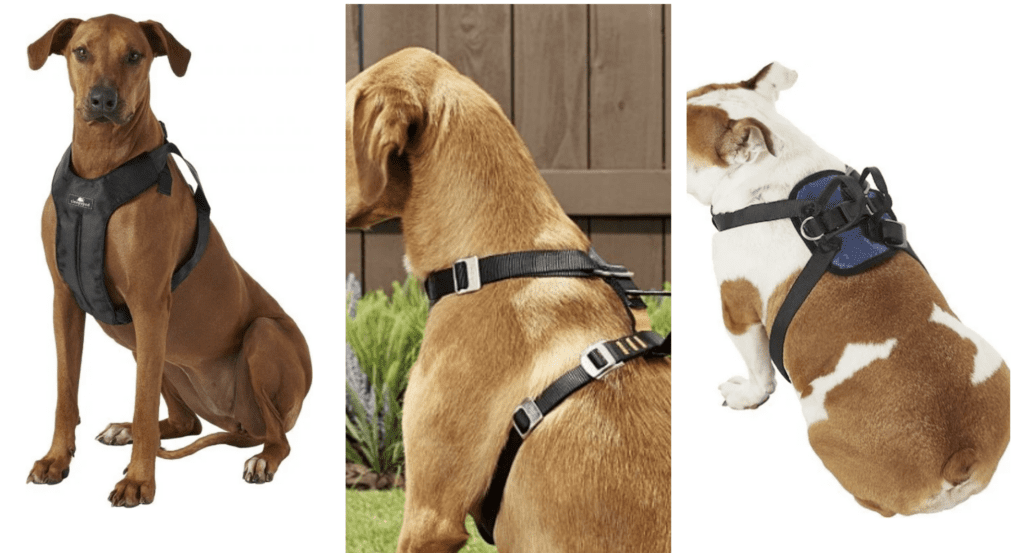 accessories-for-dog-travel-Tested-Car-Dog-Harness