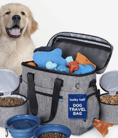 accessories-for-dog-travel