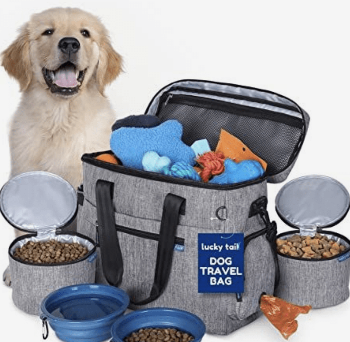accessories-for-dog-travel