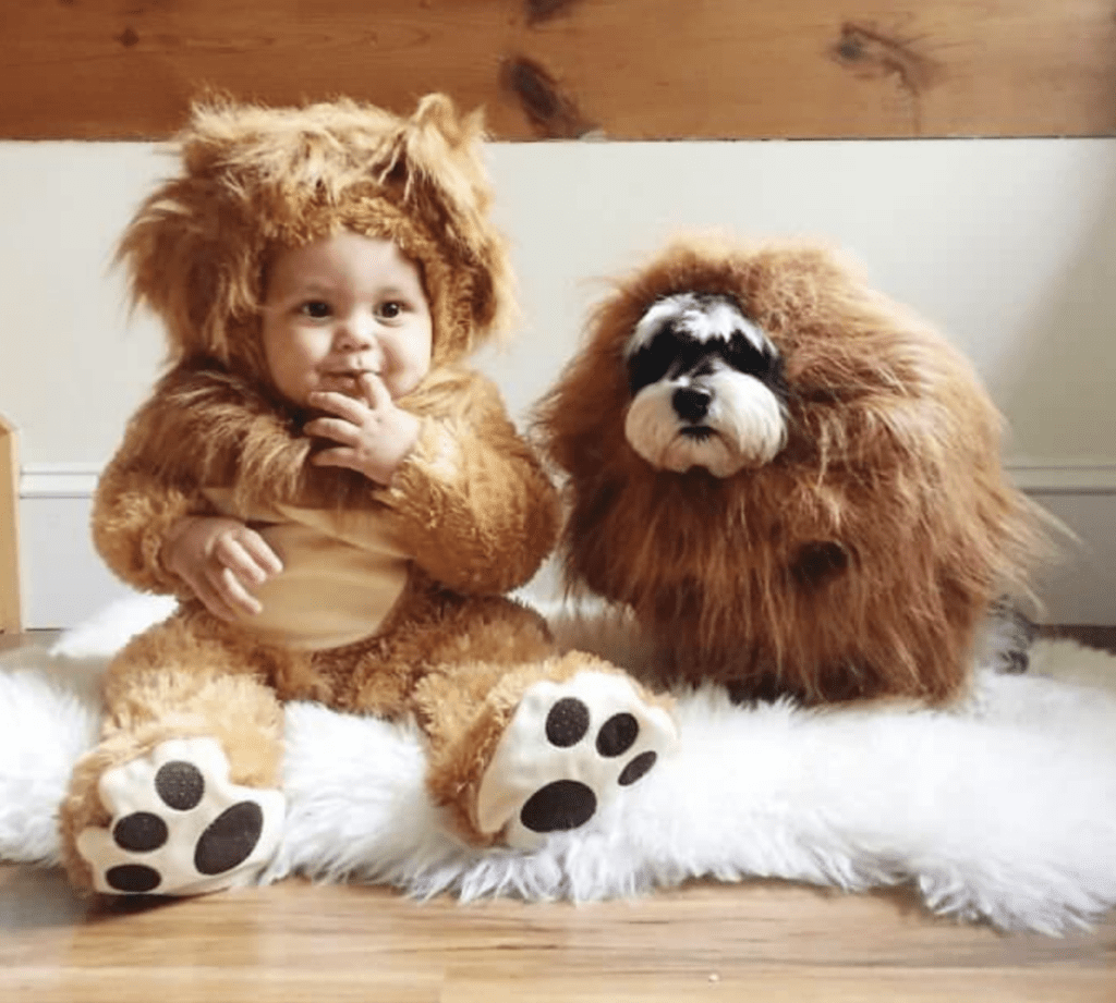 things-that-actually-scare-your-pets-children