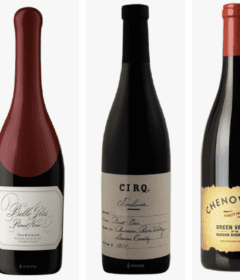 sonoma-valley-pinot-noirs