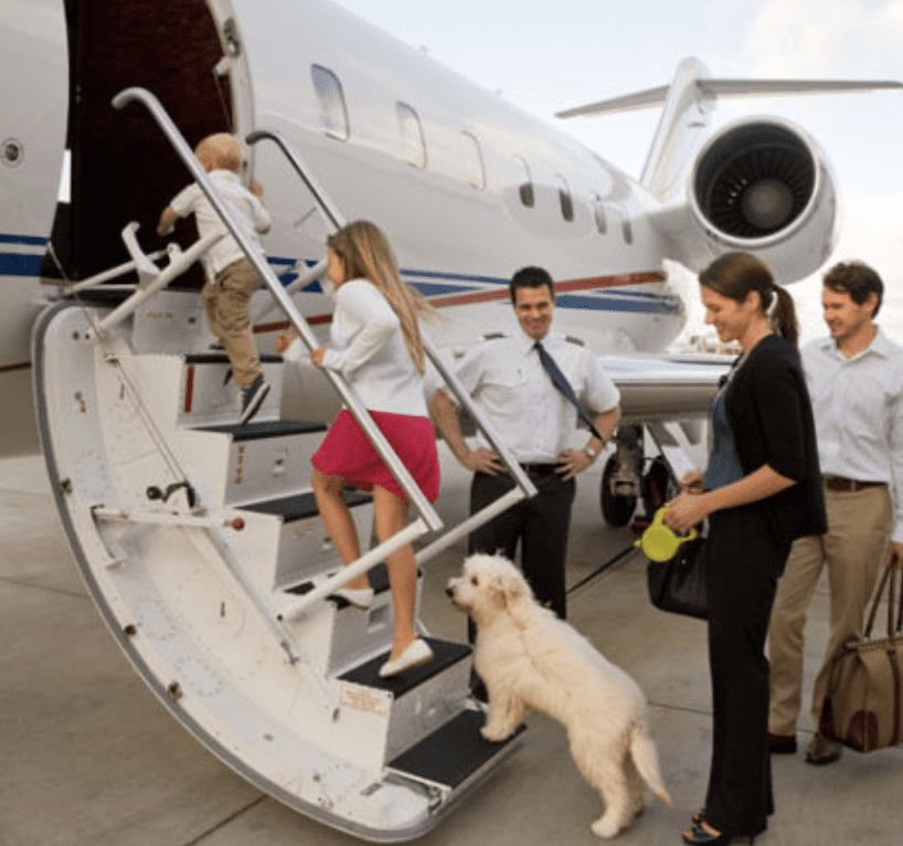 There-Are-3-Primary-Ways-Your-Pet-Can-Travel-With-You