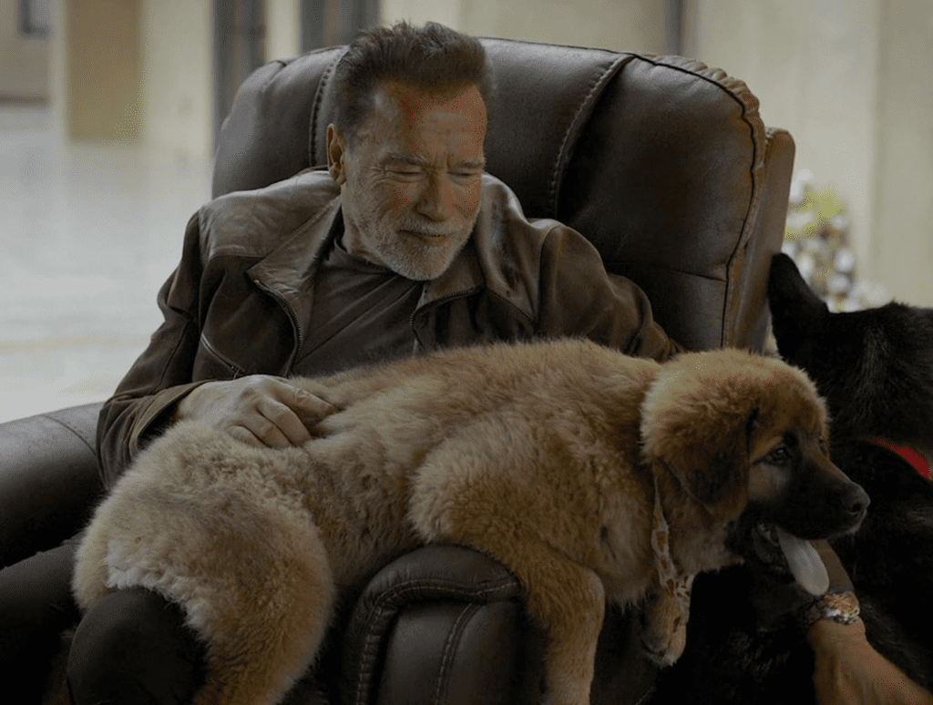 image-of-arnold-at-home-one-man-three-lifetimes