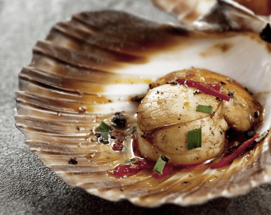 image-of-seared-scallop-Italy