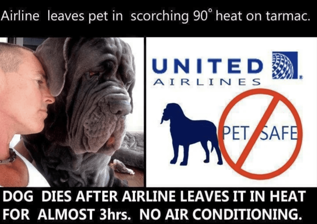 Pet-Deaths-United-Airlines-Pets-Not Safe-High-Heat
