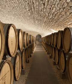 best-burgundy-wines-of-2022