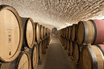 best-burgundy-wines-of-2022