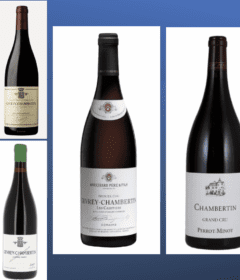 gevrey-chambertin-wine-from-france
