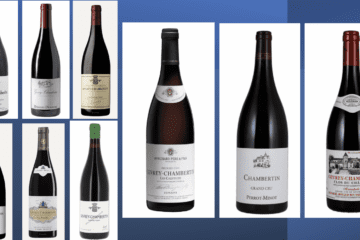 gevrey-chambertin-wine-from-france