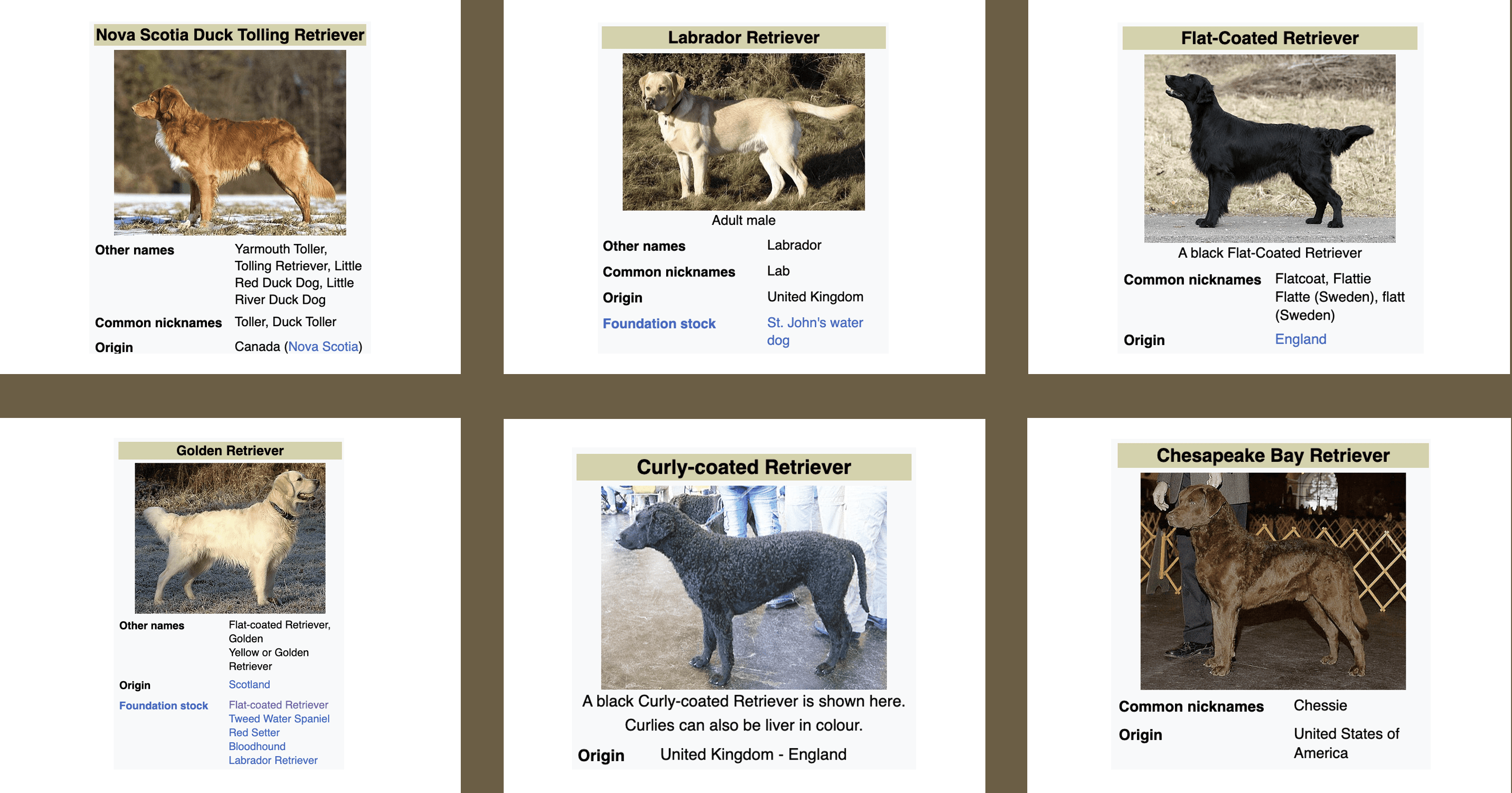 types-of-retriever-breeds