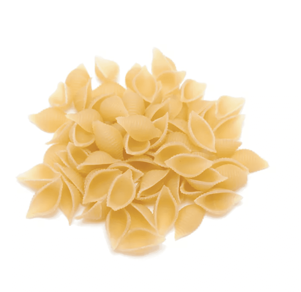 image-of-Shells-or-Conchiglie