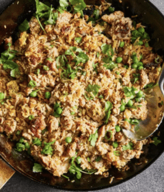 chicken-fried-rice-recipe