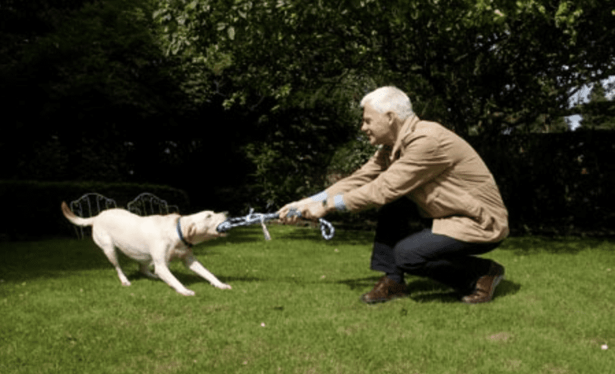 Games-to-Play-With-Your-Dog-Tug-of-War