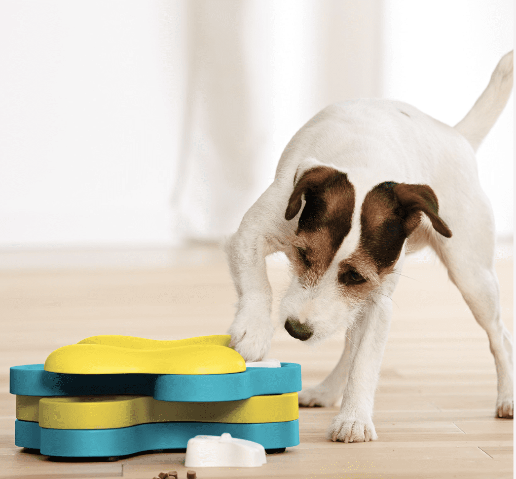 image-of-dog-Muffin-Tin-Madness