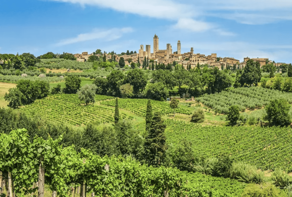 Wine-Regions-to-Visit-Globally-Tuscany-italy