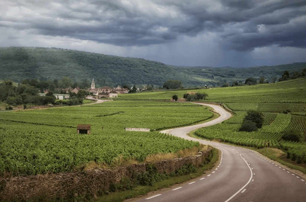 image-of-Burgundy-France