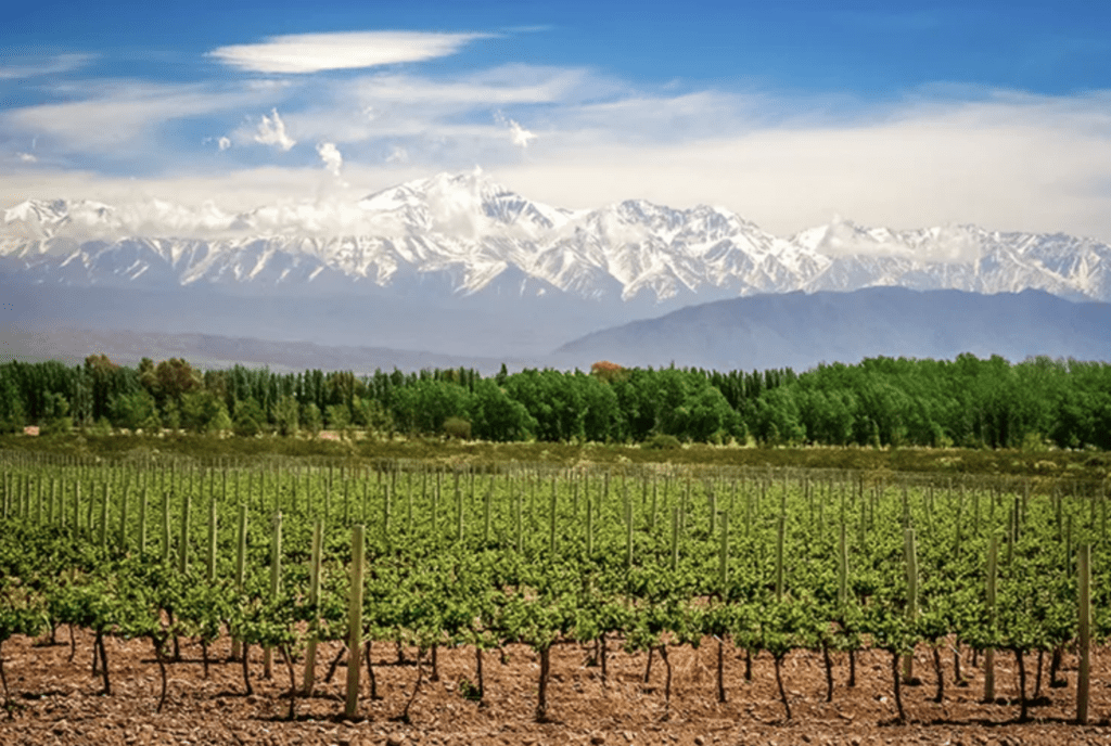 Wine-Regions-to-Visit-Globally-Mendoza-Argentina