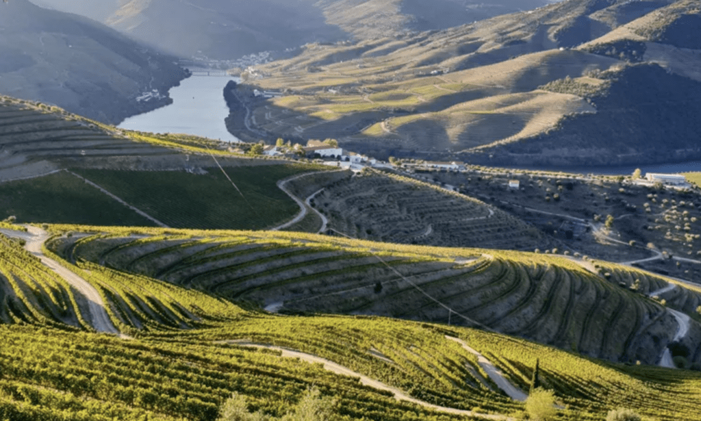 image-of-Douro-Valley-Portugal