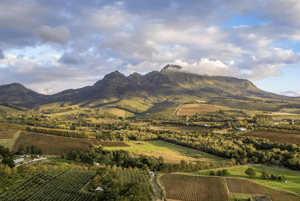 Wine-Regions-to-Visit-Globally-Stellenbosch-South-Africa