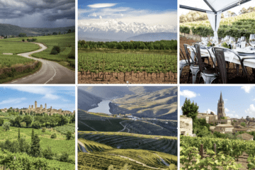 wine-regions-to-visit-globally