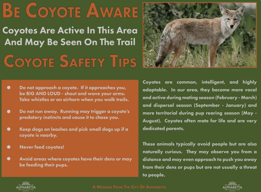 tactics-to-use-with-coyotes-Be-Coyote-Aware