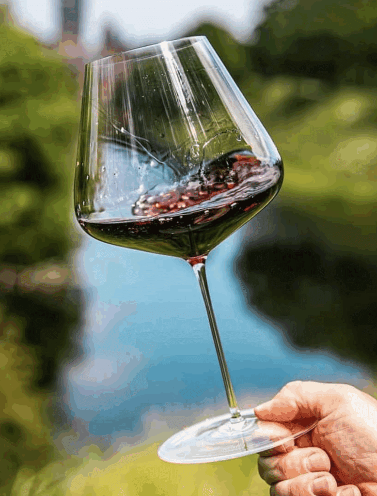 The-Best-Wine-Glasses-Zalto-Denk'Art-Cabernet-Bordeaux-Wine-Glass
