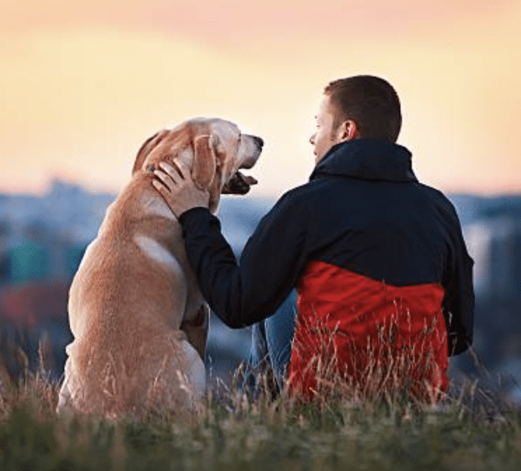 understanding-your-dog-loyalty