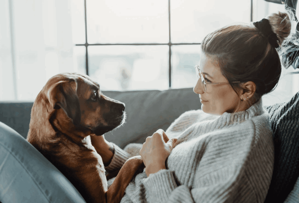 a-dogs-favorite-person