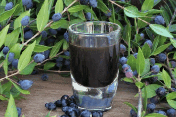 the-italian-digestive-mirto