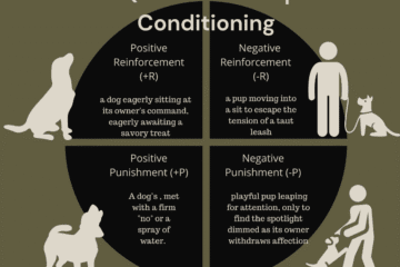 operant-conditioning-for-dogs