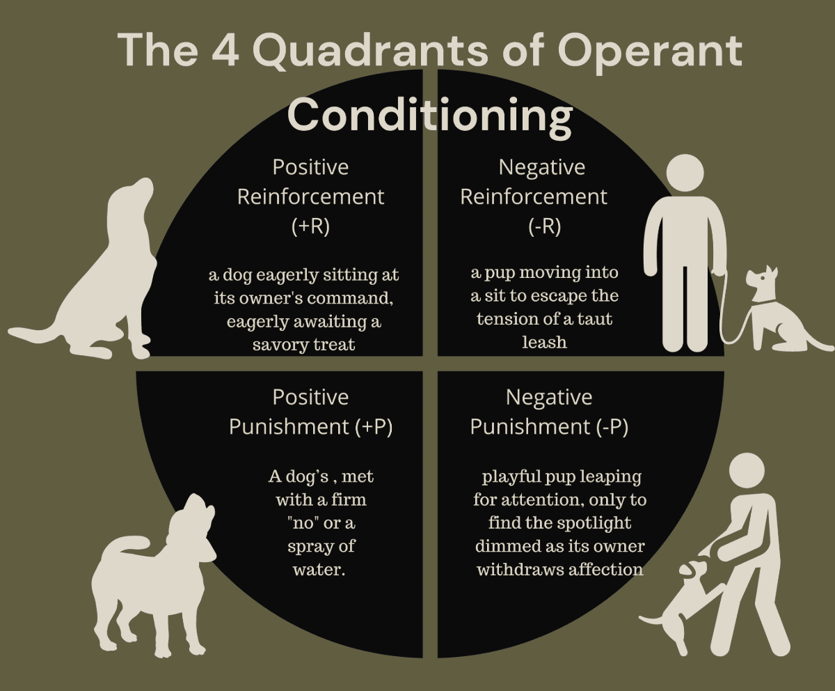 operant-conditioning-for-dogs