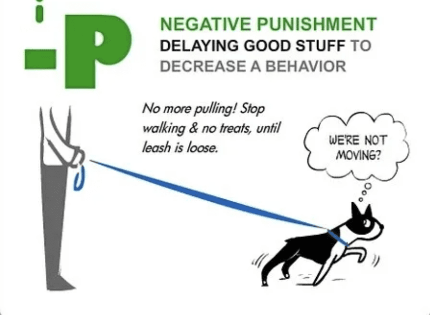 negative-punishment-for-dogs