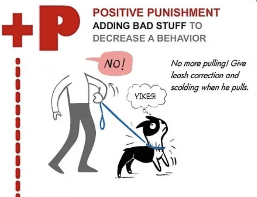 positive-punishment-for-dogs